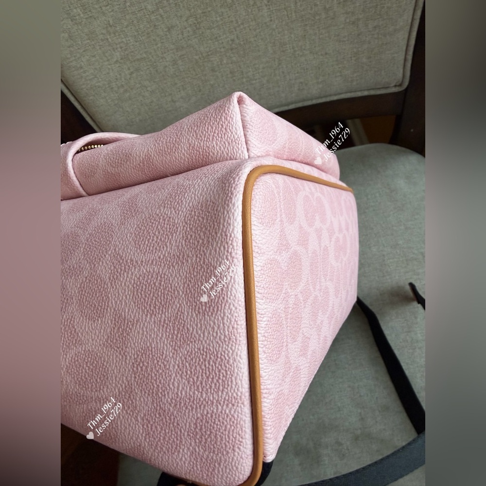 NWT！COACH Taylor Small Backpack In Signature With Charms（CEF46）fast shipping - Picture 5 of 13